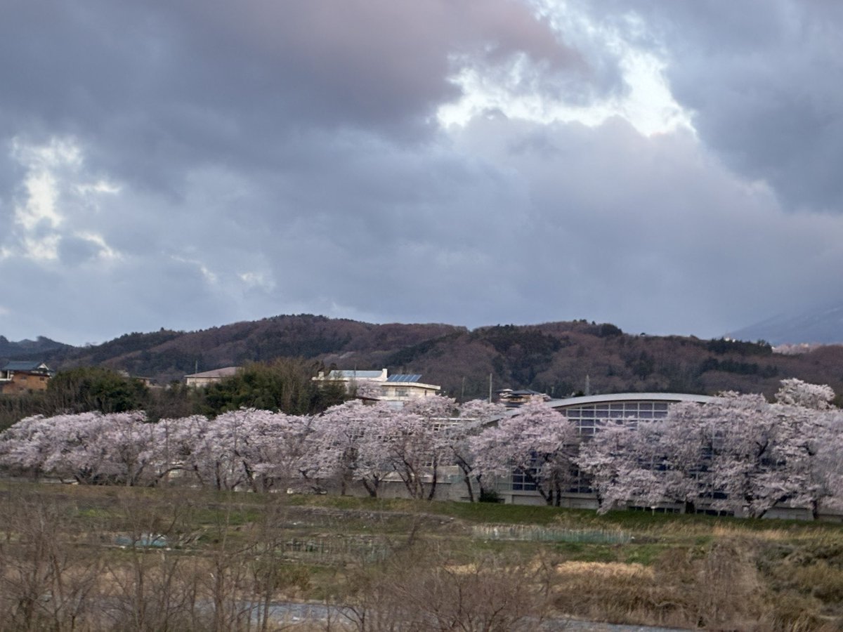 【公式】フロム蔵王/山田乳業㈱ tweet media