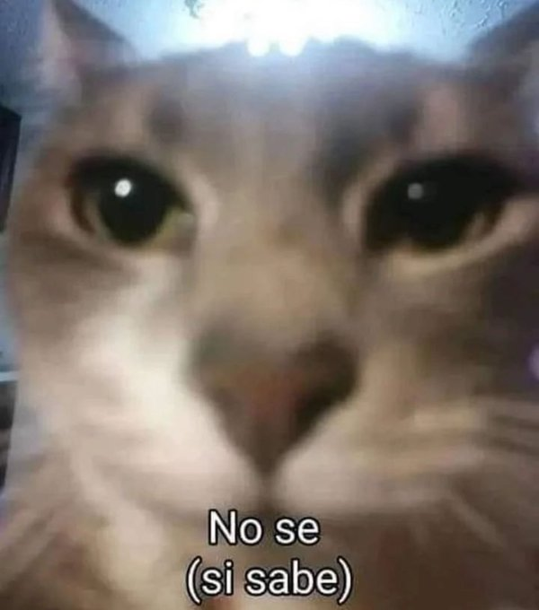 Herr Belmondo tweet media