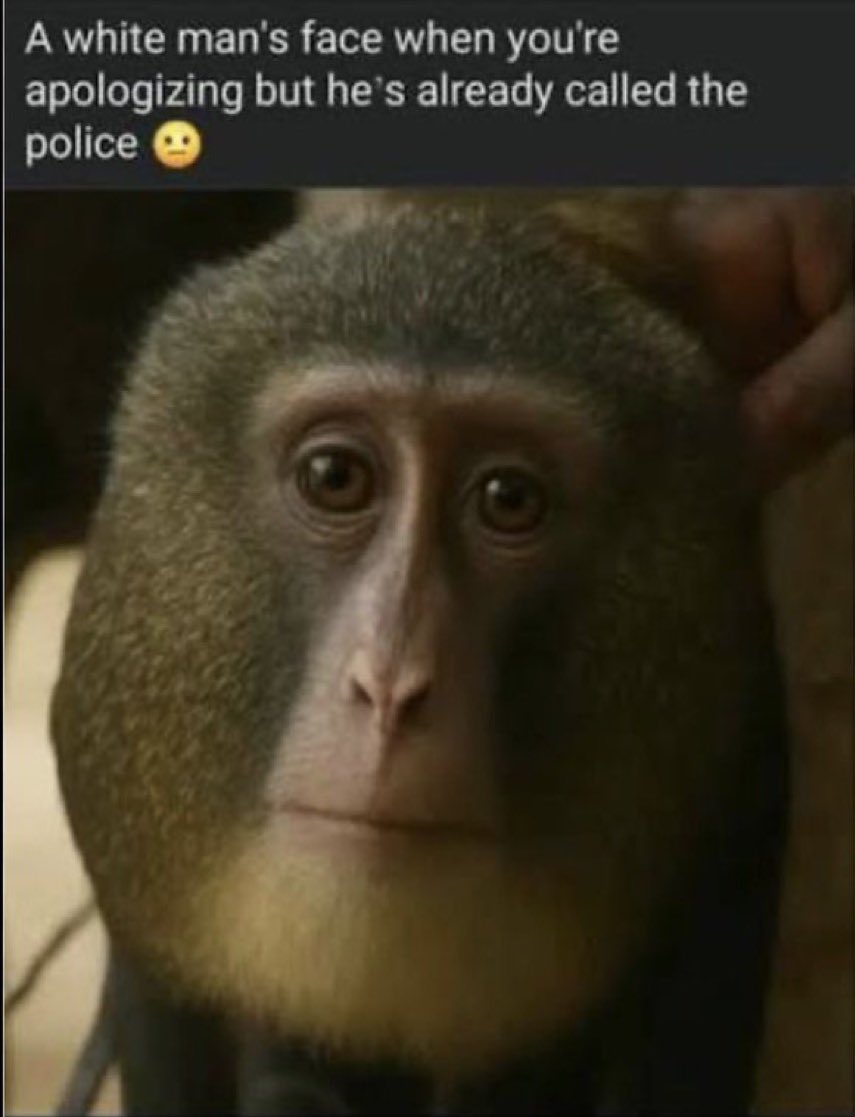 Aaron 🇧🇼🐝 MBE tweet media