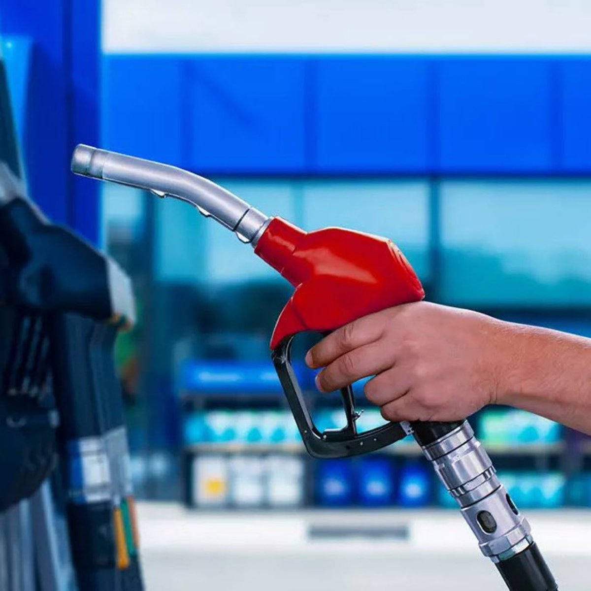 Nova Haber tweet media