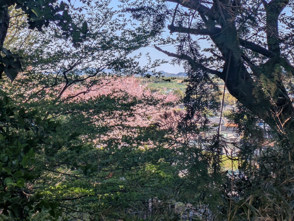 よ～しバイト行く