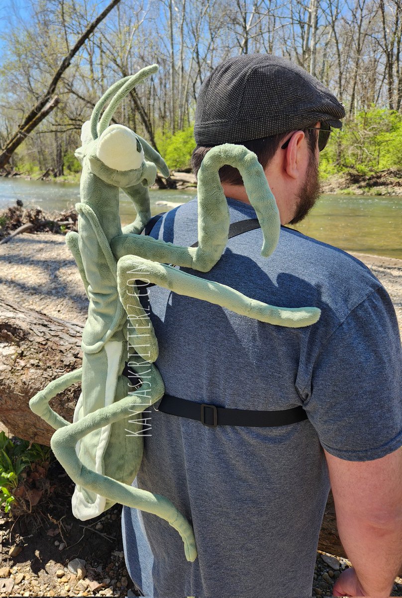 kaylaskritterz tweet media