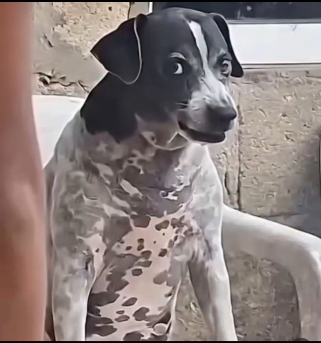 Evangélica sem calcinha tweet media