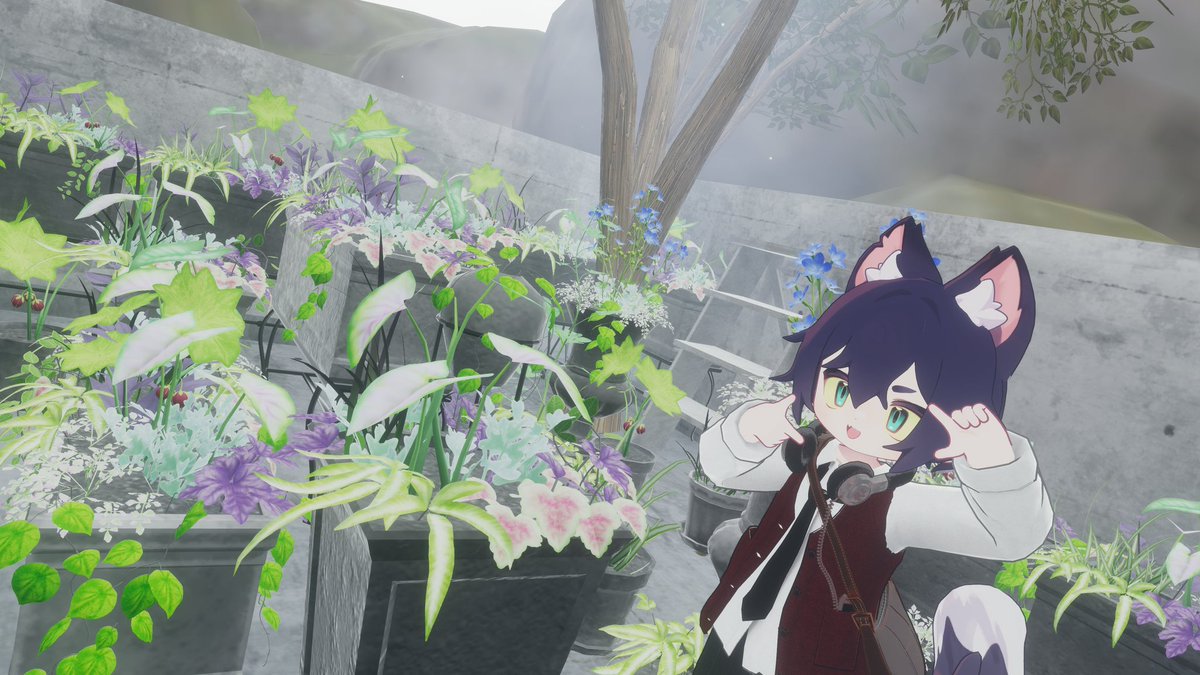 っぱー tweet media