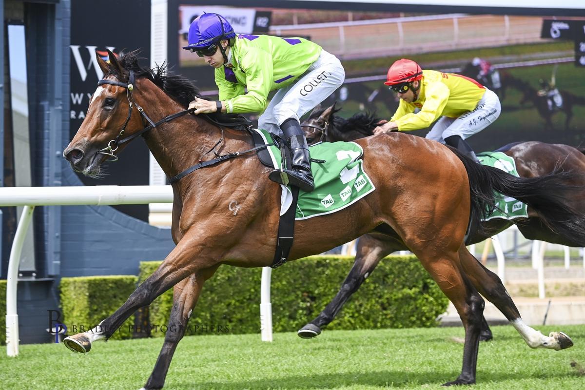 David Pfieffer Racing tweet media