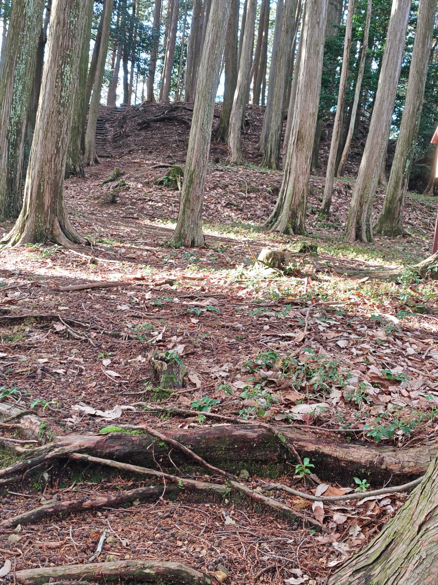 るり＠真田兵 tweet media