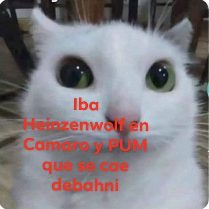 Herr Belmondo tweet media