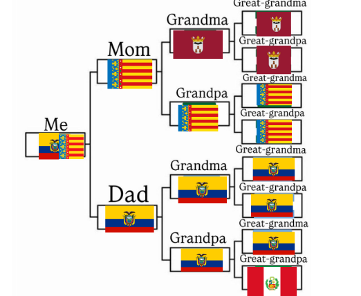 Camo 🦜 (Alcoyano de corazón) tweet media