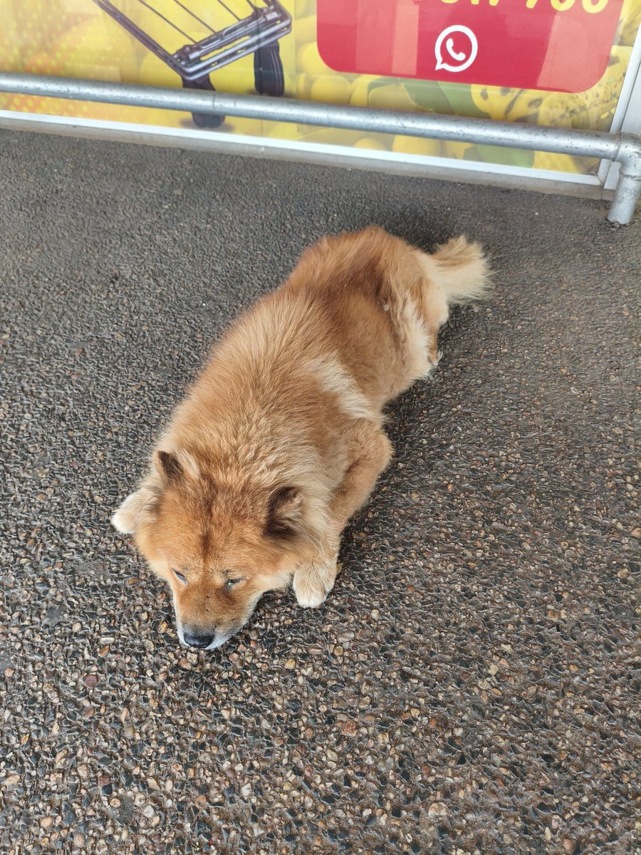 Paola✨ tweet media