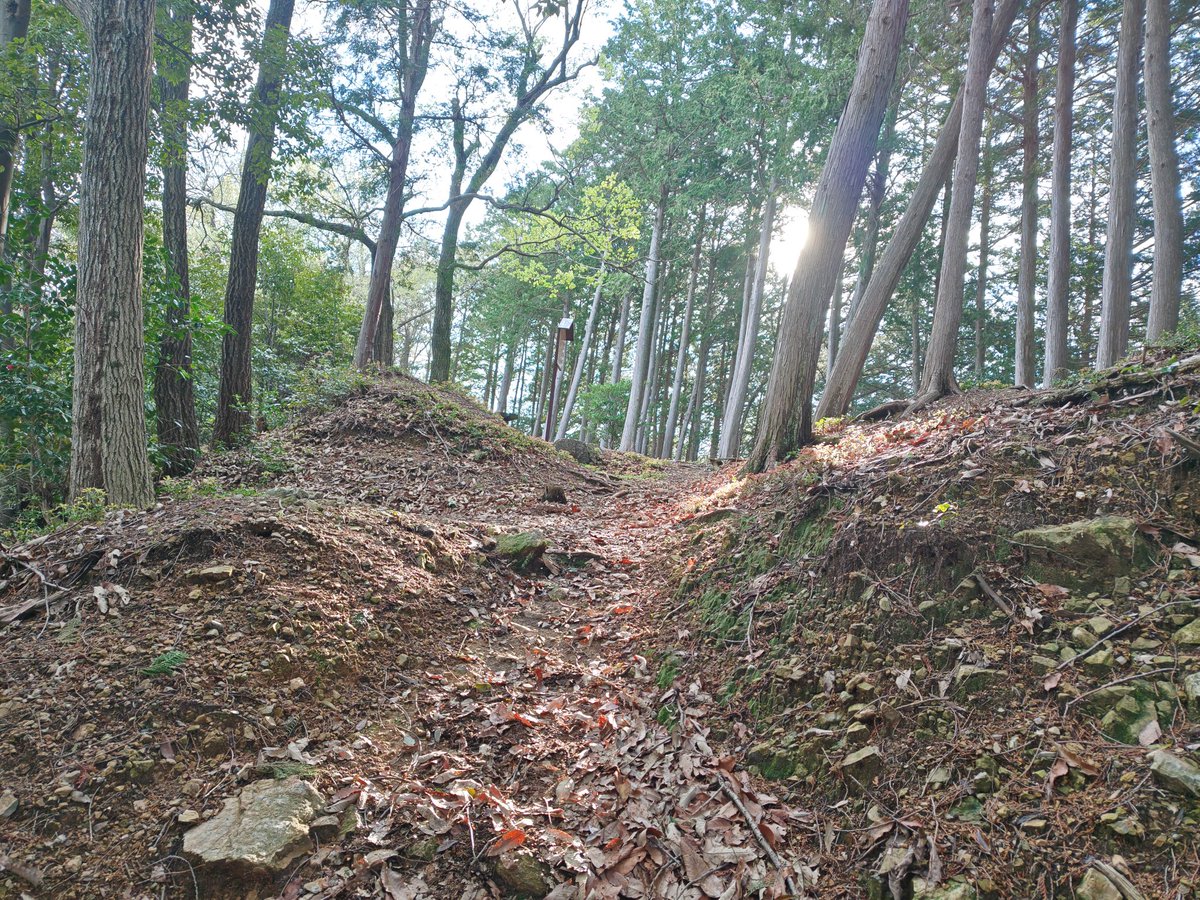 るり＠真田兵 tweet media