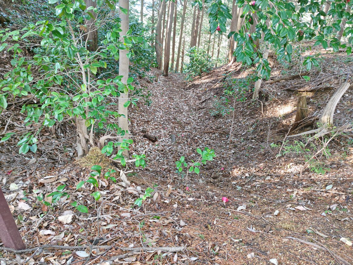 るり＠真田兵 tweet media