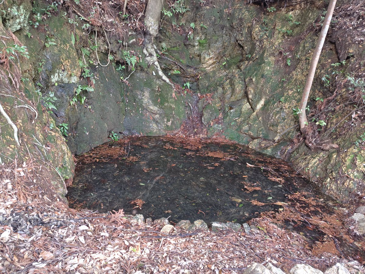 るり＠真田兵 tweet media