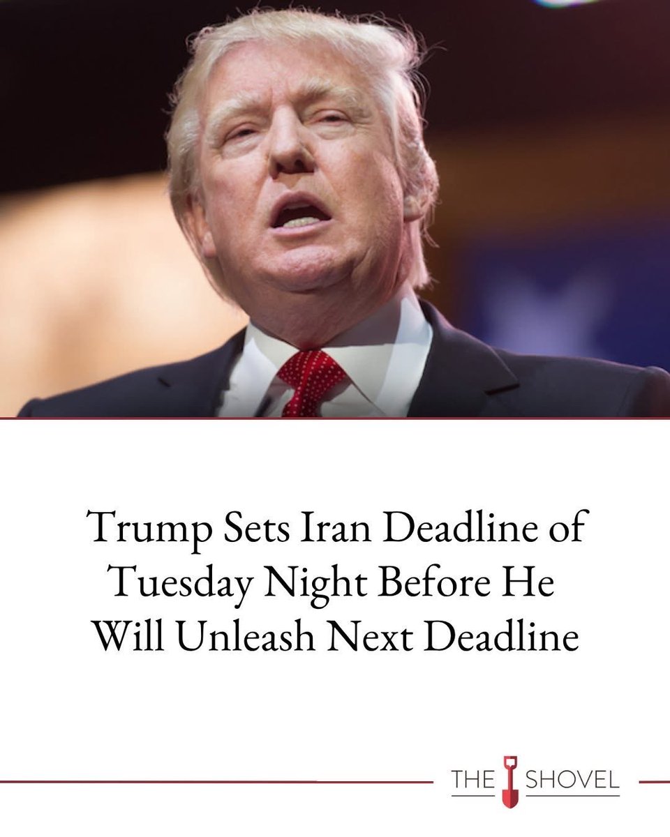 Rod B 🦘🐶 🦜 📷 tweet media