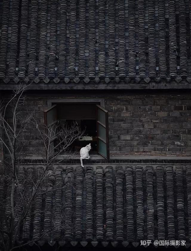 nicola hill tweet media