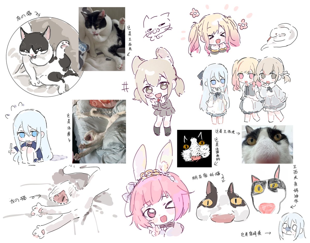 shiyu tweet media