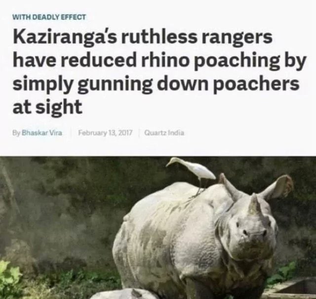 Will Tanner tweet media