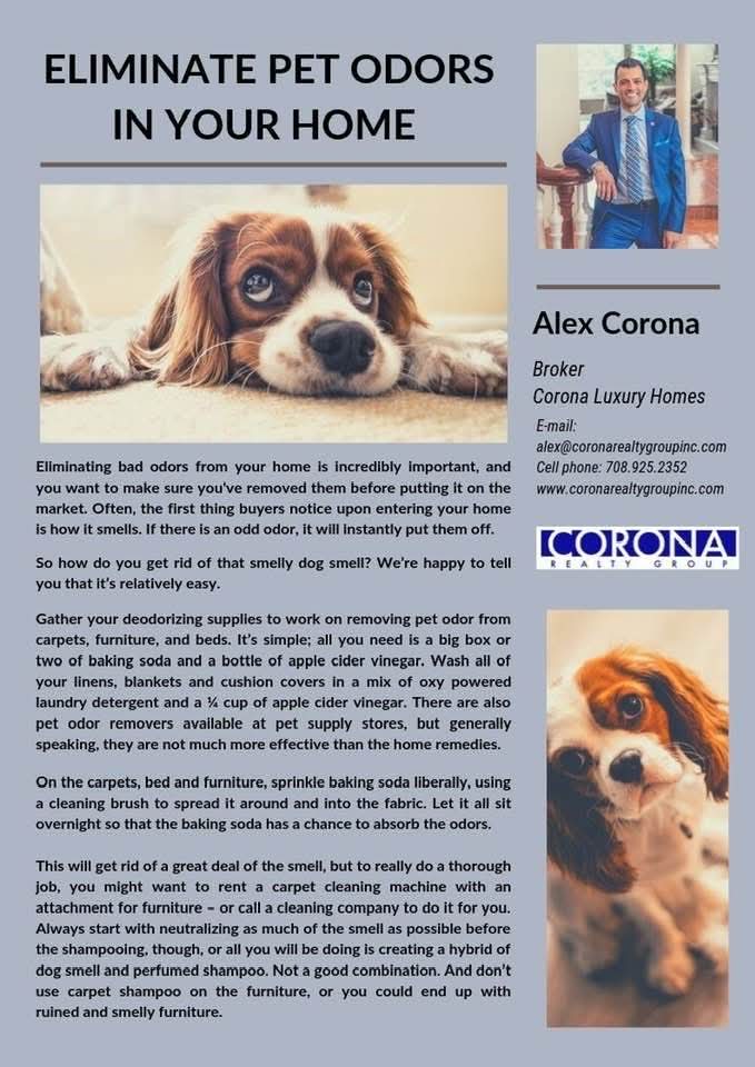 Corona_Realty's tweet image. Selling your home this year?

Don’t let pet odors cost you thousands.

The right prep can change EVERYTHING.

More showings
Better offers
Faster sale

Let’s get your home dialed in

📲 Call us (708)385-0123. 

#RealEstateChicago #SellYourHouse #HomeTips #SellerGuid