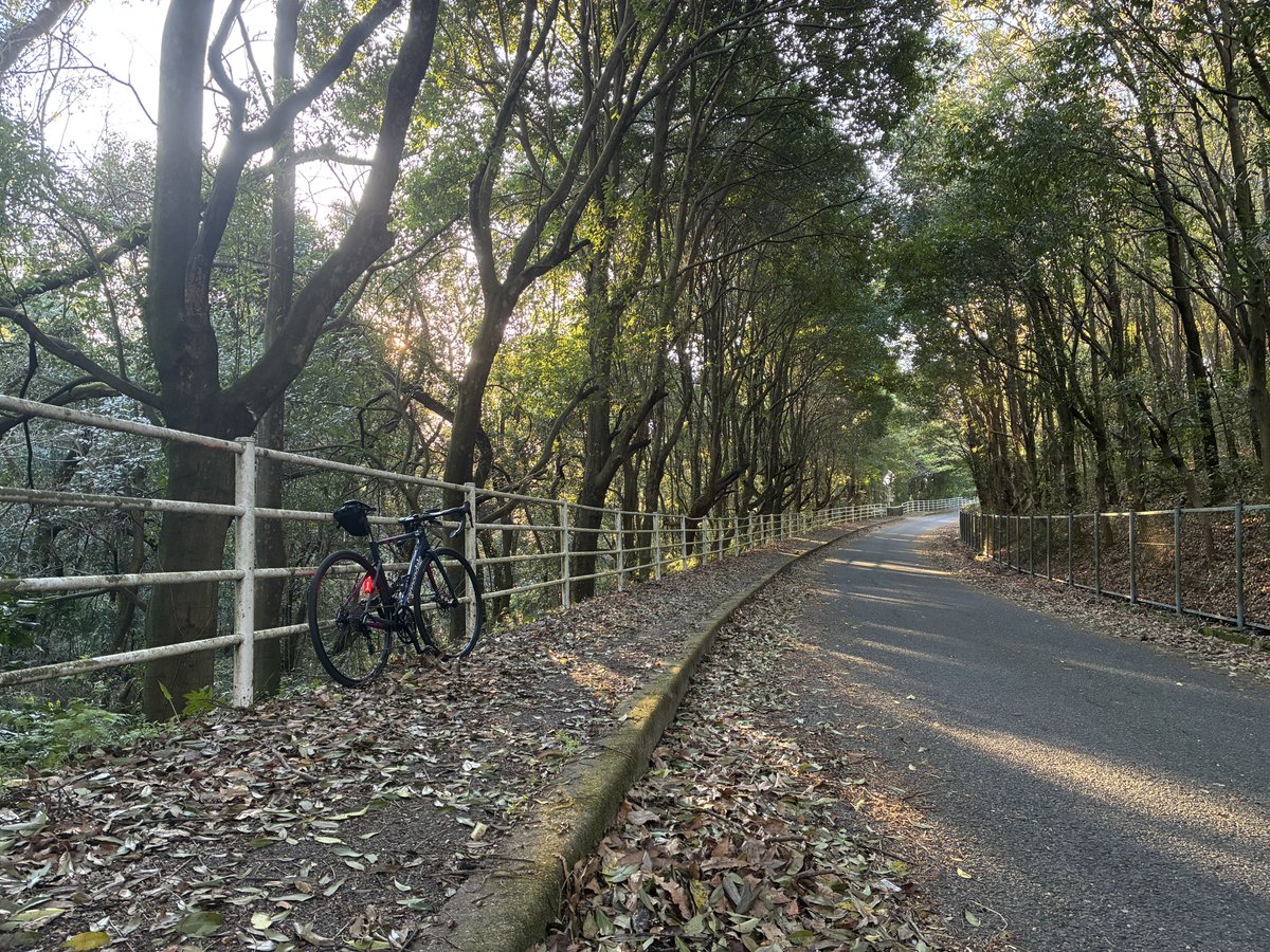 テクノ tweet media