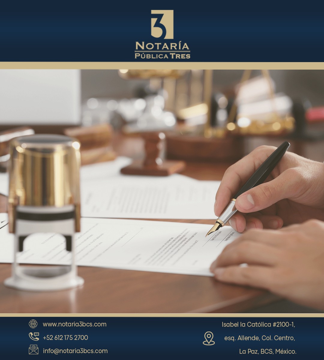 📄 ¿Te piden entregar documentos originales para un trámite?

Evita dejarlos y protege tu información. En Notaría 3 BCS certificamos fotocopias con valor legal, para que realices trámites sin arriesgar tus documentos.
📞 612 175 2700
📍 La Paz, BCS

#TrámitesSeguros #LaPazBCS