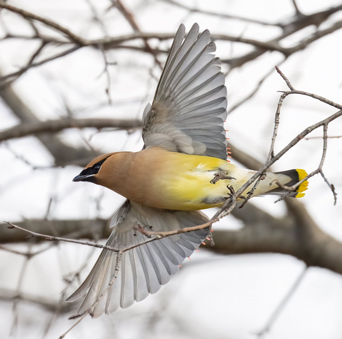 Jocelyn Anderson Photography tweet media