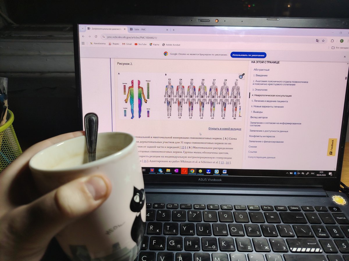 Марсианская хорника | нелинейная крыса tweet media