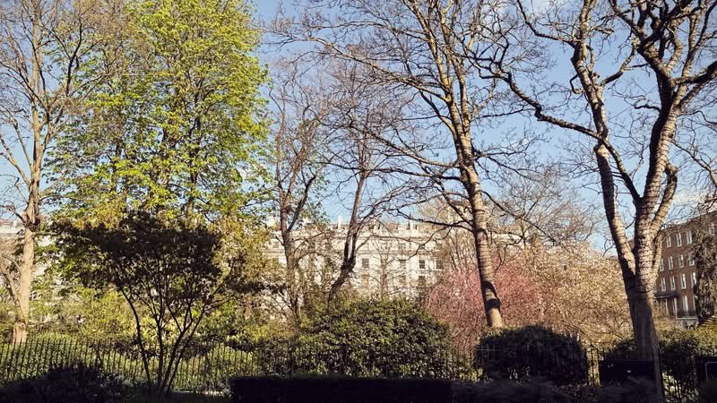 Julian Lennon tweet media