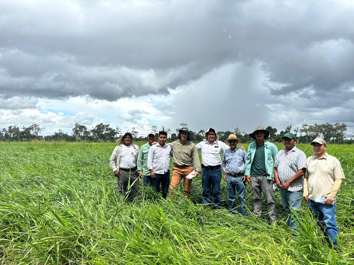 ReussiNahuel's tweet photo. 🚨Arrancamos la gira por Santa Cruz 🇧🇴🇧🇴 liderando junto a @garciaf_nutri el Programa de Nutrición de Cultivos de @AnapoBolivia. Van 12 campañas 125 experimentos de nutrición.
Prod: paper, congresos, días de campo..
Nutrición Basada en Evidencias…sin fronteras.
@raizcientifica https://t.co/wwL7d0Rtse