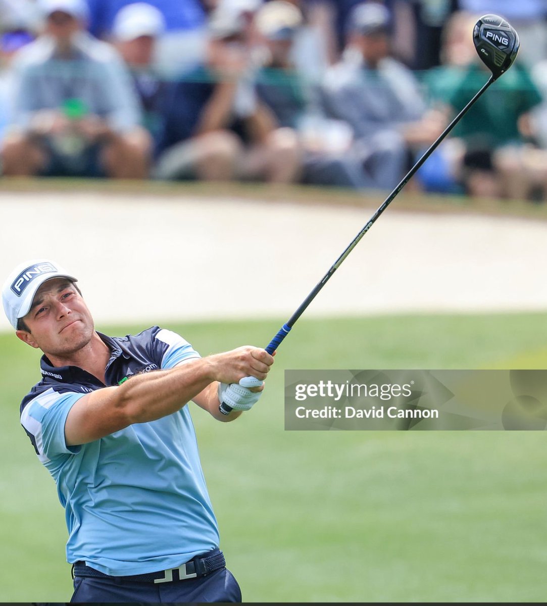 Hovi Hive tweet media