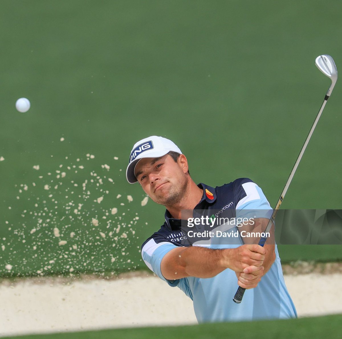 Hovi Hive tweet media