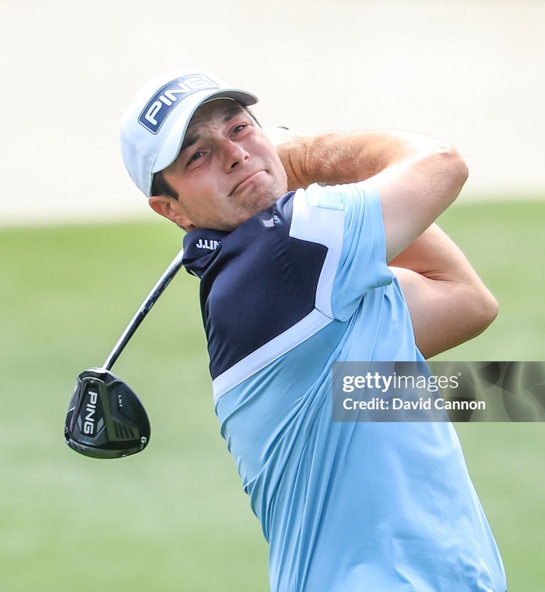 Hovi Hive tweet media