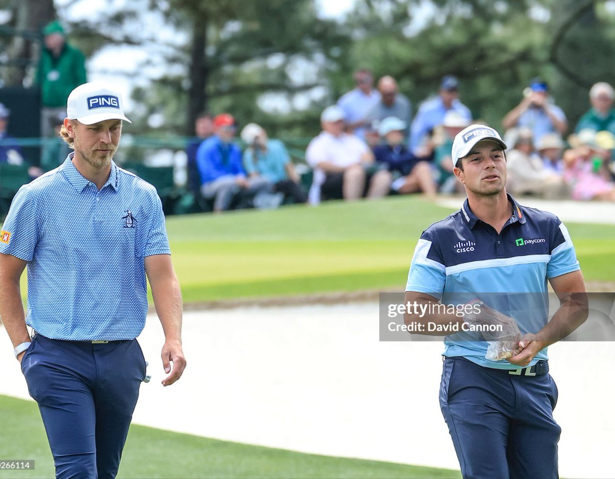 Hovi Hive tweet media