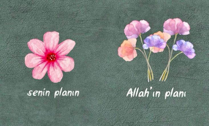 Flora🌼 Randevular açık✨ tweet media