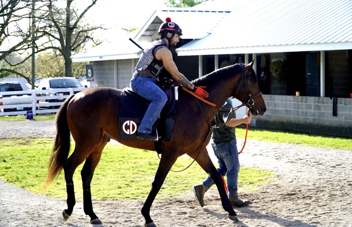 Belladonna Racing Partnership tweet media