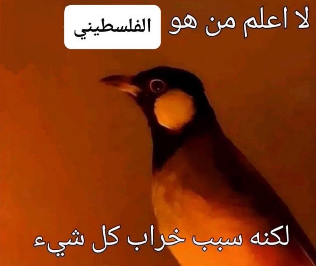 N ☫𓂆 tweet media