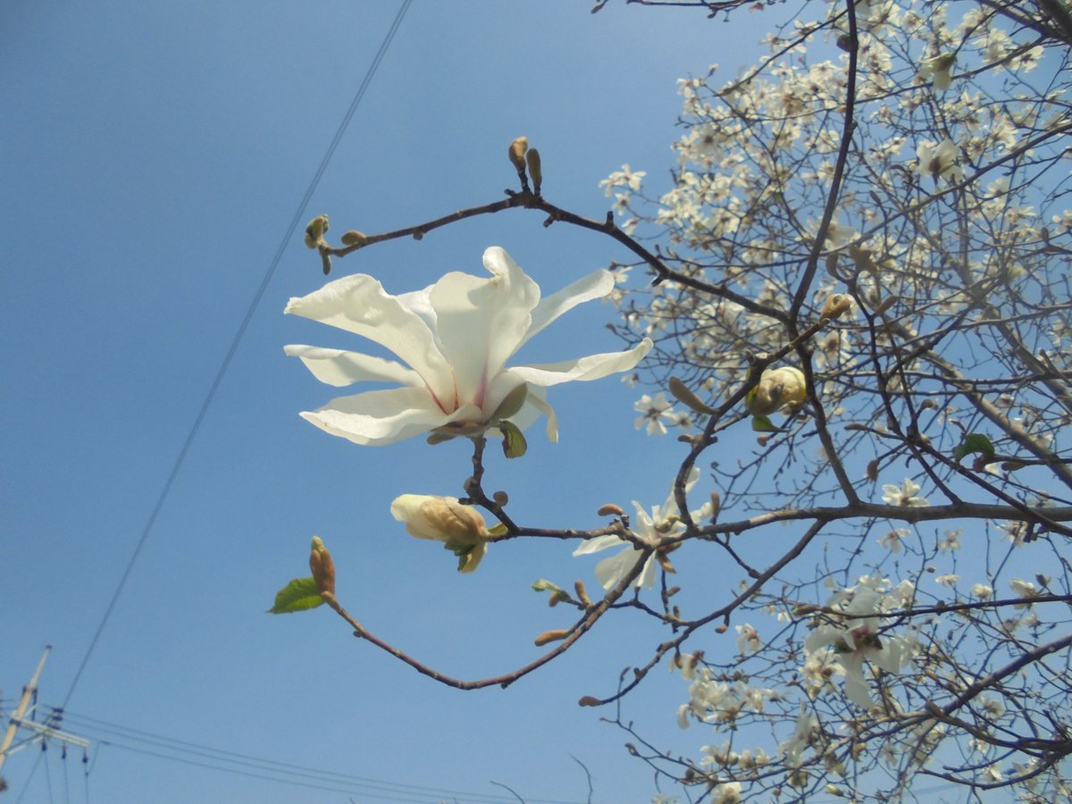 이근제 tweet media