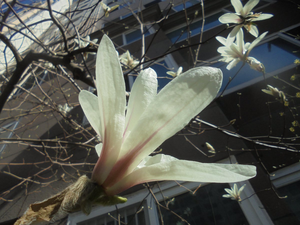 이근제 tweet media