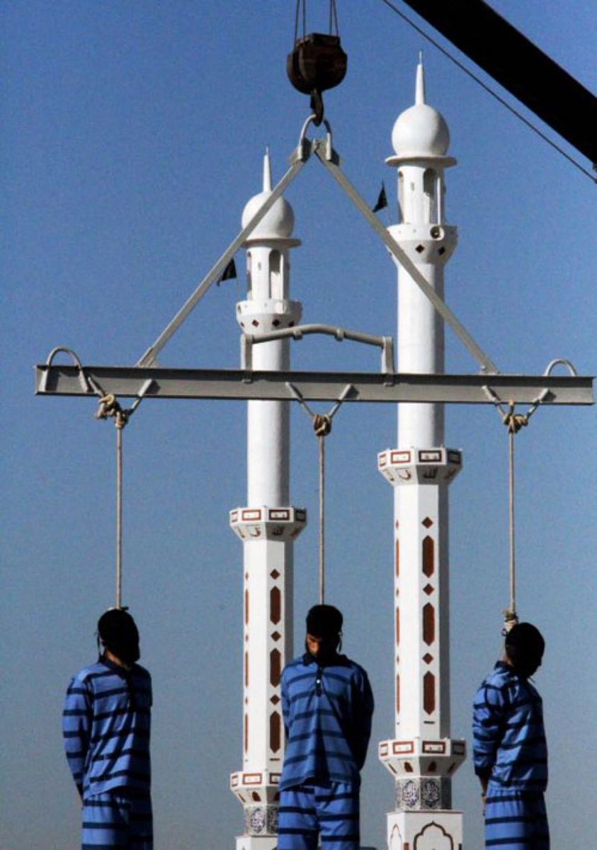 Howard Baskerville 🇮🇷🇺🇸 tweet media