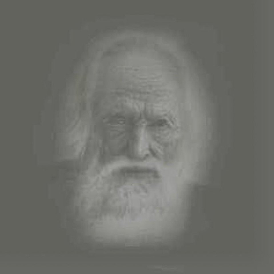 Timothy Schulte tweet media