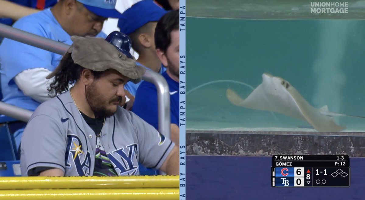 Ryan Bass tweet media