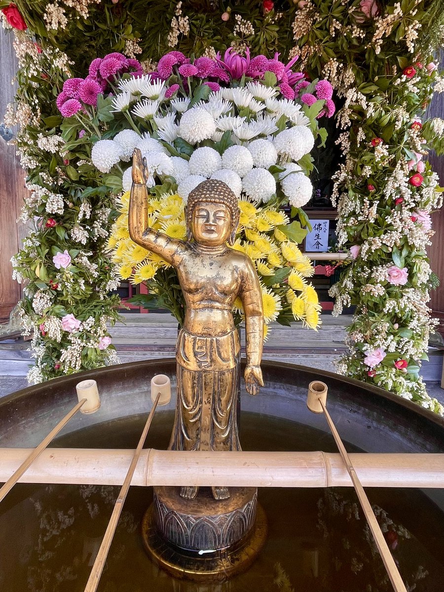 華厳宗大本山 東大寺【公式】 Tōdaiji Temple tweet media