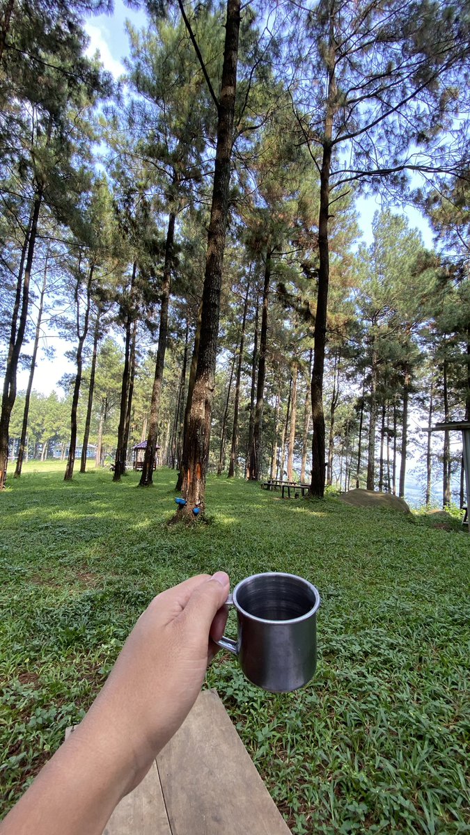 ᎷᎯᏕ Ꮢ tweet media