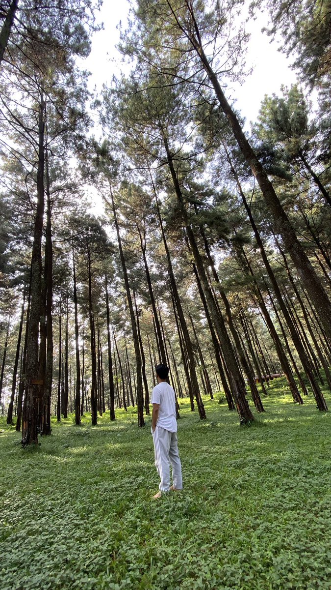 ᎷᎯᏕ Ꮢ tweet media