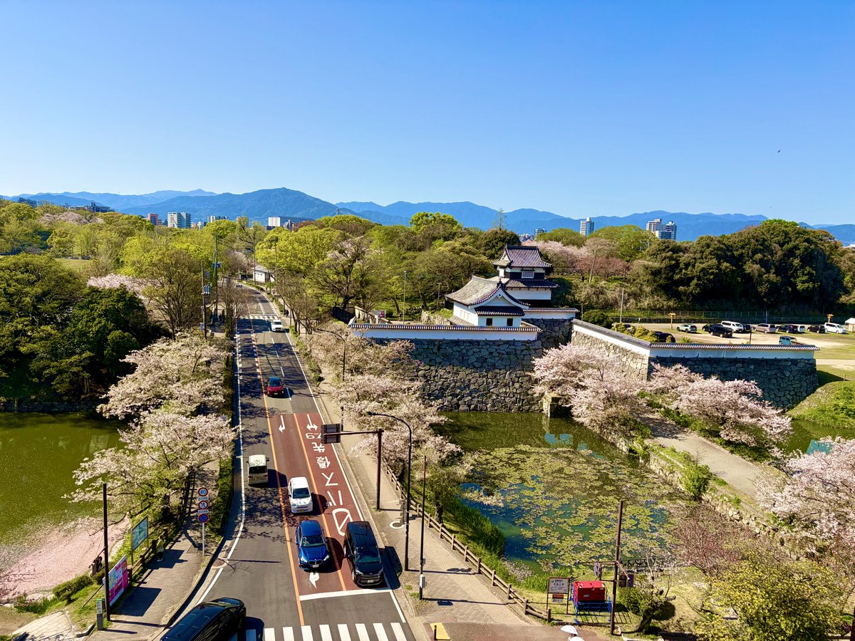 とりまる tweet media