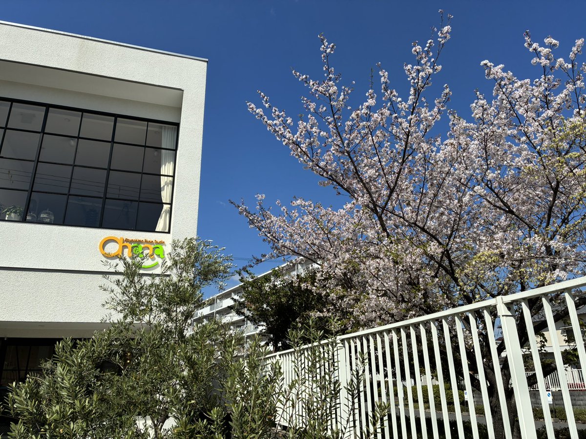 studioohana's tweet photo. 入園、入学で
毎日、走り回ってます！

今日は良いお天気で
スタジオからの桜が綺麗です https://t.co/4mkyc4tP6t