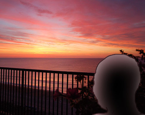 Friedman tweet media