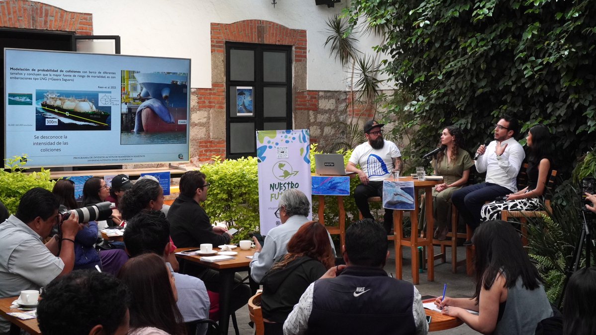 Ernesto Méndez tweet media