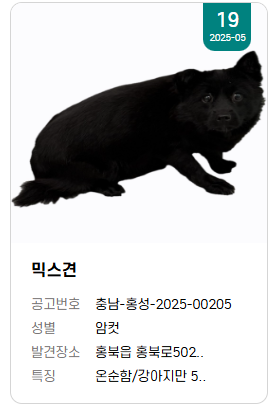 findmypaw's tweet photo. 꼬물이때 들어와서 현재 모습으로 공고사진 변경 요청했는데 특대형 공허 사진으로 바꿔둔거 실화냐

오른쪽처럼 예쁜 반달곰상 아기예요... 이번달 안락사 대상입니다!

신중한 입양 문의 부탁합니다. 
홍성반려동물문화센터 연락처 041-630-1374 https://t.co/9jm8w61Bs5