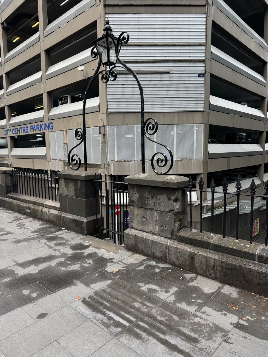 third culture 🏳️🌈 tweet media