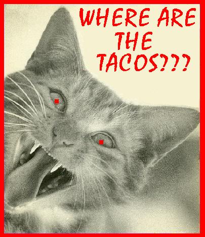 Safety Lights Are For Dudes tweet media