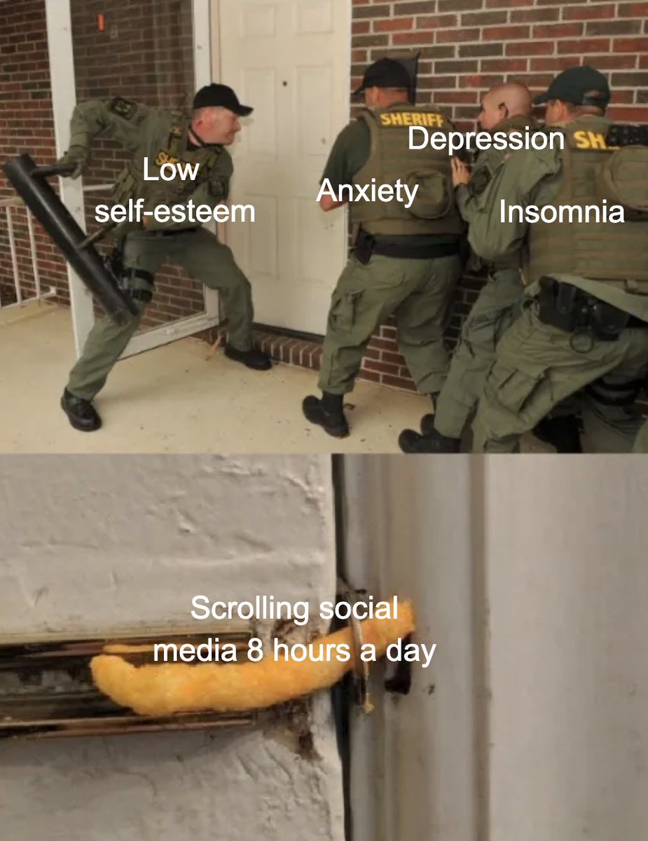 Bryan Johnson tweet media